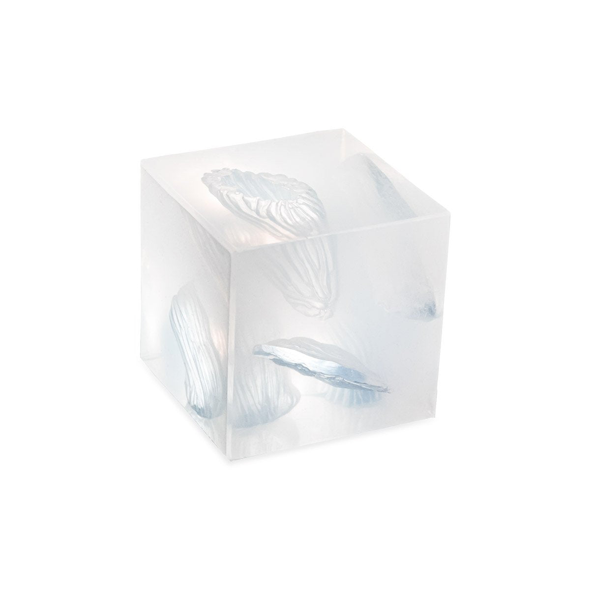 Wound Cube™ Gen2 image 0