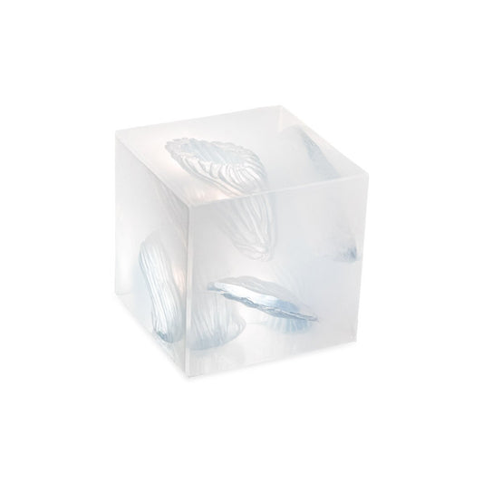 Wound Cube™ Gen2 image 0