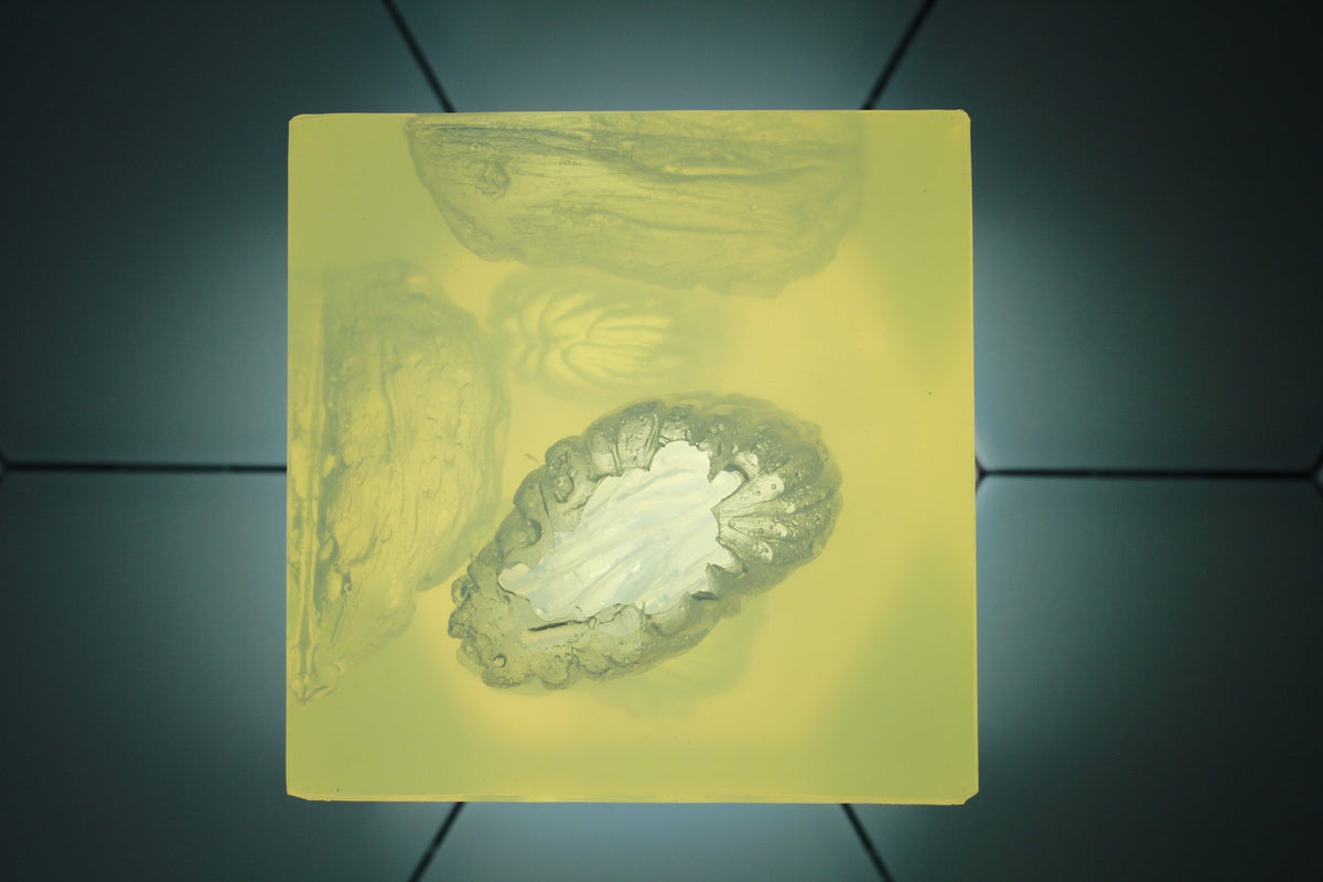 Wound Cube™ Gen2 image 2